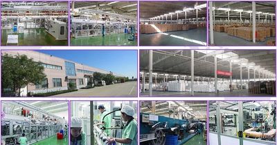 Tianjin Wholesome Hygiene Products Co.,Ltd.