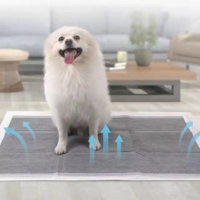 Puppy Training Pet Toilet Pee Pads with Sandia or Sumitomo SAP and Customized Color