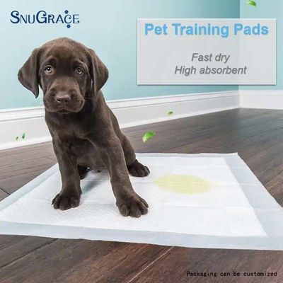 SNUGRACE Dog Pee Pad for Fast Potty Training 600X350mm 600X450mm 600X600mm 900X600mm
