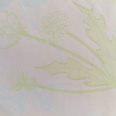 Breathable PE Backsheet film for Customizable Colorful Printing Diaper Raw Material