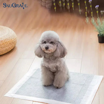 SnuGrace Pet Urine Pads from XS-XXXL Sizes Fluff Pulp SAP Non Woven Fabric Tissue PE