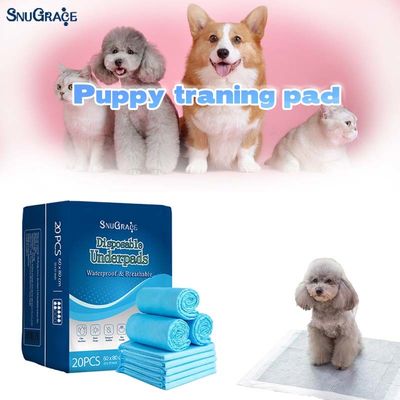SnuGrace Pet Peeing Mat High Absorption Training for All Pets Printed Design Special