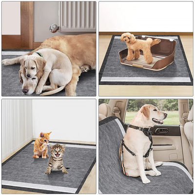 Disposable Dog Pads for Puppy Training Materrial Fluff pulp SAP Non woven fabric Tissue PE