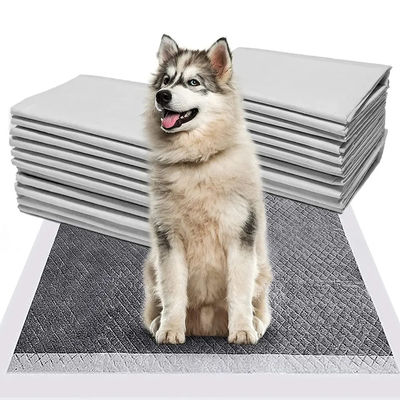 CE ISO Certified Blue SnuGrace Dog Pee Mat Fast Absorbing and Durable Pet Training Mat