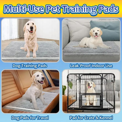 CE ISO Certified Blue SnuGrace Dog Pee Mat Fast Absorbing and Durable Pet Training Mat