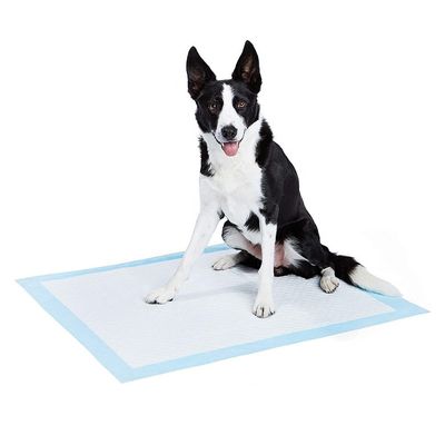 Customized Cotton Disposable Underpad for Pet House Training Wee Wee Pad in Color