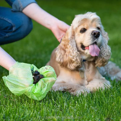 Biodegradable Dog Poop Bag in Customized Color Made of Material for Pet Waste Disposal