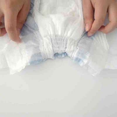 Pet Care Disposable Female Dog Diapers Absorbent And Leak Proof Fit