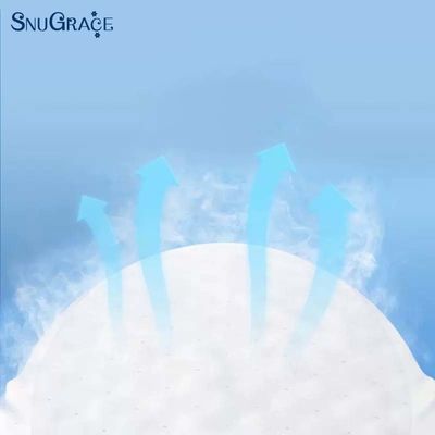 S-XXL Size Disposable Adult Diapers Panties for Hospital and Home at from SnuGrace