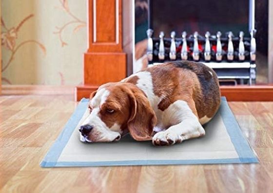 Incontinence Pads Bed Covers and Puppy Training Pads with Freely Offered Samples