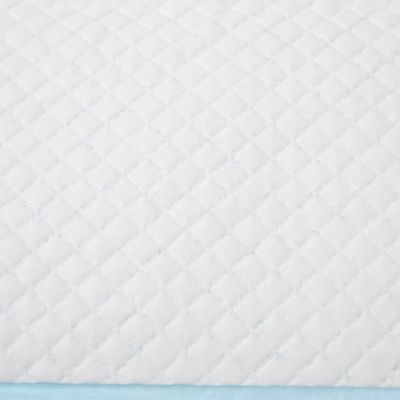 BV Certified Dog Sleeping Pad for Dry Surface Absorbency and ISO9001 Certification
