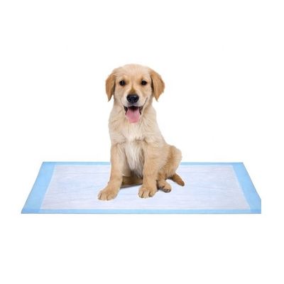 Freely Offered Samples OEM/ODM Pet Toilet Pee Pads for Puppy Training and Sleeping