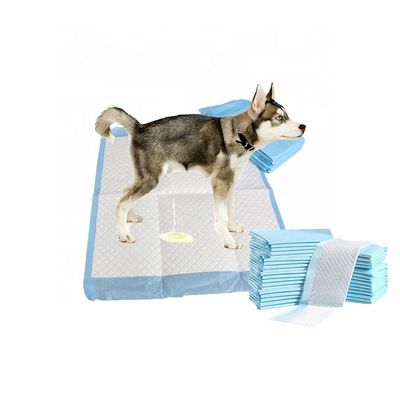 Freely Offered Samples OEM/ODM Pet Toilet Pee Pads for Puppy Training and Sleeping