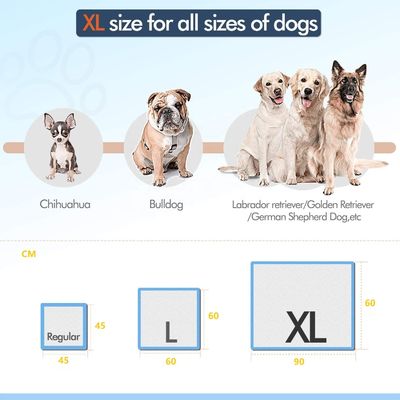 Freely Offered Samples OEM/ODM Pet Toilet Pee Pads for Puppy Training and Sleeping