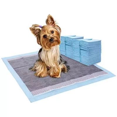 Freely Samples Offered Biodegradable Dog Puppy Extra Large Pet Cat Dog Training Puppy Pads