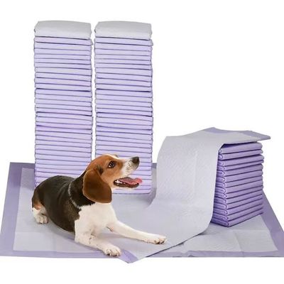 Freely Samples Offered Disposable Pet Pee Pads with Four Corner Positioning Stickers