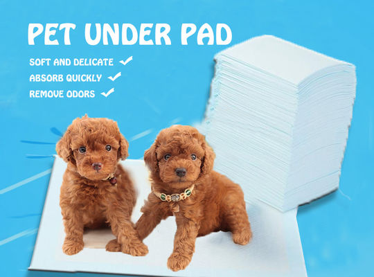 S.M.L.XL.XXL Pet Sanitary Pads for OEM/ODM Customized Color Disposable Pet Pee Pads