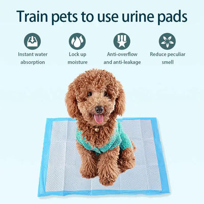 Fluff pulp SAP Non woven fabric Tissue PE Waterproof Pet Mat Diaper for Puppy Training
