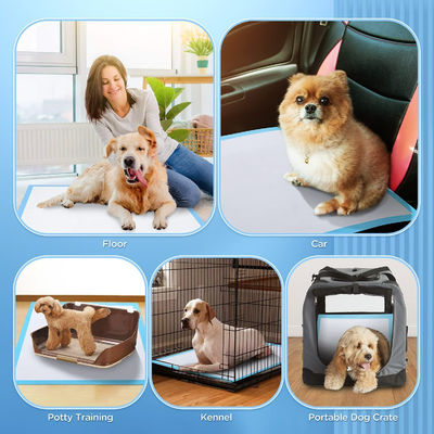 Fluff pulp SAP Non woven fabric Tissue PE Waterproof Pet Mat Diaper for Puppy Training