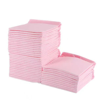 2023 Best Sell Eco-Friendly Dog Pad for Pet Training Disposable Pet Training Pad