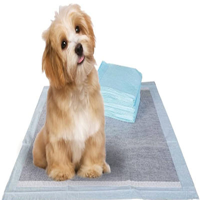 Puppy Training Pet Toilet Pee Pads with Sandia or Sumitomo SAP and Customized Color