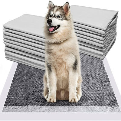 Puppy Training Pet Toilet Pee Pads with Sandia or Sumitomo SAP and Customized Color