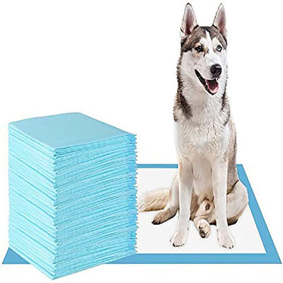 60*45/60*60/60*90cm Deodorizing SAP Pet Pee Pad for Potty Urine Training S M L XL XXL