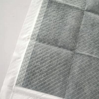 20g-120g Japan Bamboo Charcoal Absorbent Pet Training Pee Pad Pet Potty Underpad Best Sell Training Pad