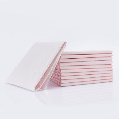 Custom Size Disposable Puppy Dog Pet Training Pads for Grey Dogs Grey 60X60cm Animals