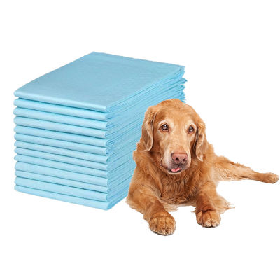 Pet Pee Training Pads Ultra-Absorbent Diapers for Effective Incontinence Training