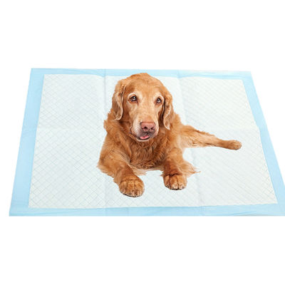 Extra Large Pet Dog Urine Training Pads for Puppies Blue CE ISO Certified