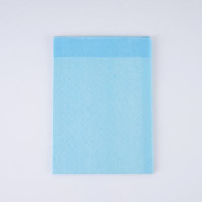 Extra Large Pet Dog Urine Training Pads for Puppies Blue CE ISO Certified