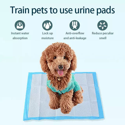 45x60cm Pet Pee Pad 5 Layer Absorbent Dog and Puppy Training Pad Suitable for All Pets