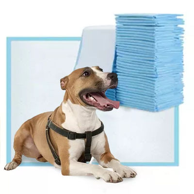 45x60cm Pet Pee Pad 5 Layer Absorbent Dog and Puppy Training Pad Suitable for All Pets