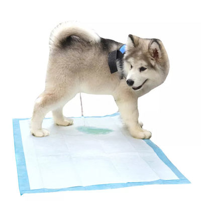Pet Potty Training Pads For Dogs Disposable Pet Urinal Pad with Dry Surface Absorbency