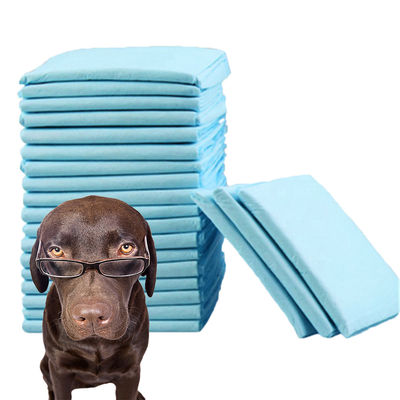 CE ISO Certified Underpads The Ultimate Solution for Pet Hygiene and Cleanliness