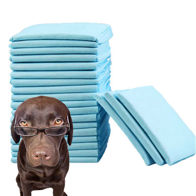 Pet Cleaning High Absorbency Disposable Puppy Training Pee Pad with CE ISO Certificate