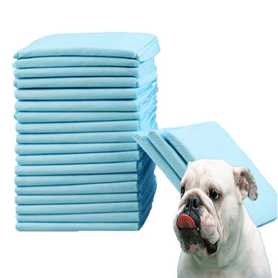 Breathable and Absorbent Dog Pet Urine Pad Diaper OEM/ODM Accepted with Customized Label
