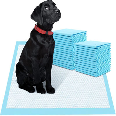 100-2000ml Absorbent Capacity Disposable Pet Pee Pee Under Pads with CE Certification