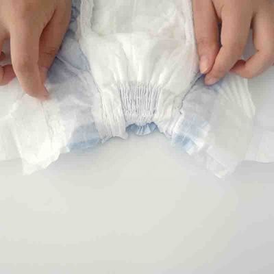 Large Female Dog Diapers Customized Color Disposable Dog Diaper for Sustainable