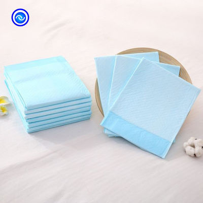Pet Training 120-250ml Absorbent Puppy Housebreaking Potty Training Pad