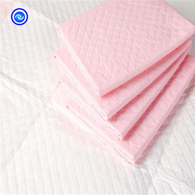 Pet Training 120-250ml Absorbent Puppy Housebreaking Potty Training Pad