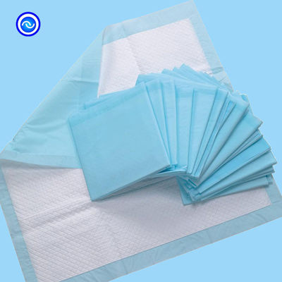 Pet Training 120-250ml Absorbent Puppy Housebreaking Potty Training Pad