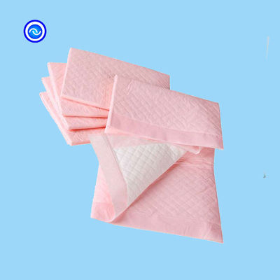 Pet Training 120-250ml Absorbent Puppy Housebreaking Potty Training Pad