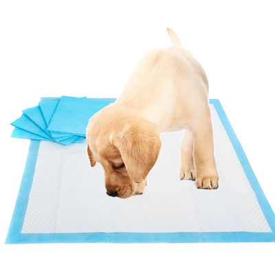 Disposable Incontinence L XL Pee Pad Pad Training Pad for Pet Puppies Training Pee Pad