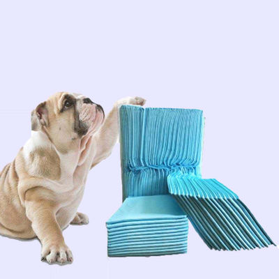 Disposable Incontinence L XL Pee Pad Pad Training Pad for Pet Puppies Training Pee Pad