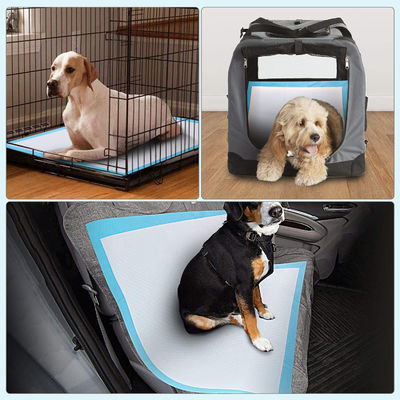Extra Large Absorbent Dog Training Pee Pads 60x90 60x60 60x45 with Soft Nowoven Frabic