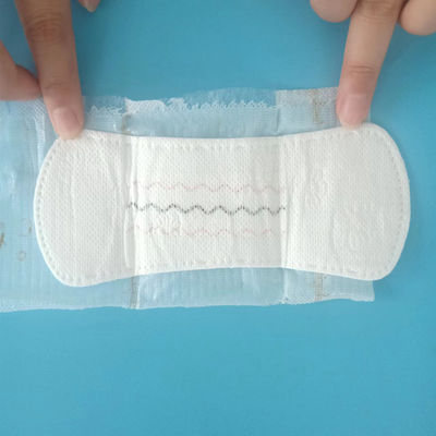 ISO9001 CE Certified Customized Herbal Anion Women's 2022 Incontinence Panty Liner
